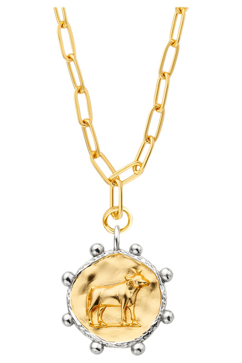 Collier Taureaux Doré et argenté