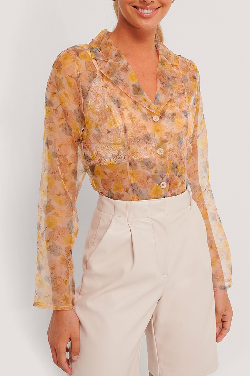 Chemisier Transparent