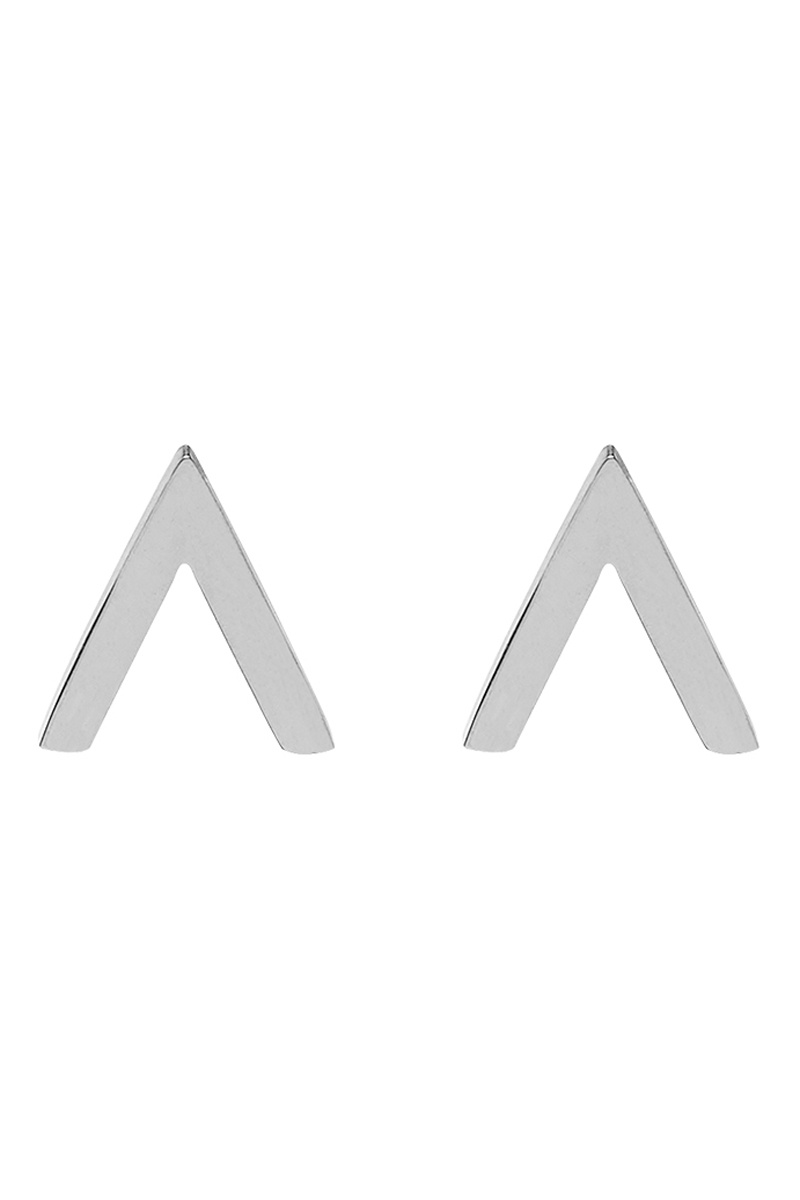 Puces Argenté - Charlotte Raphaeilli