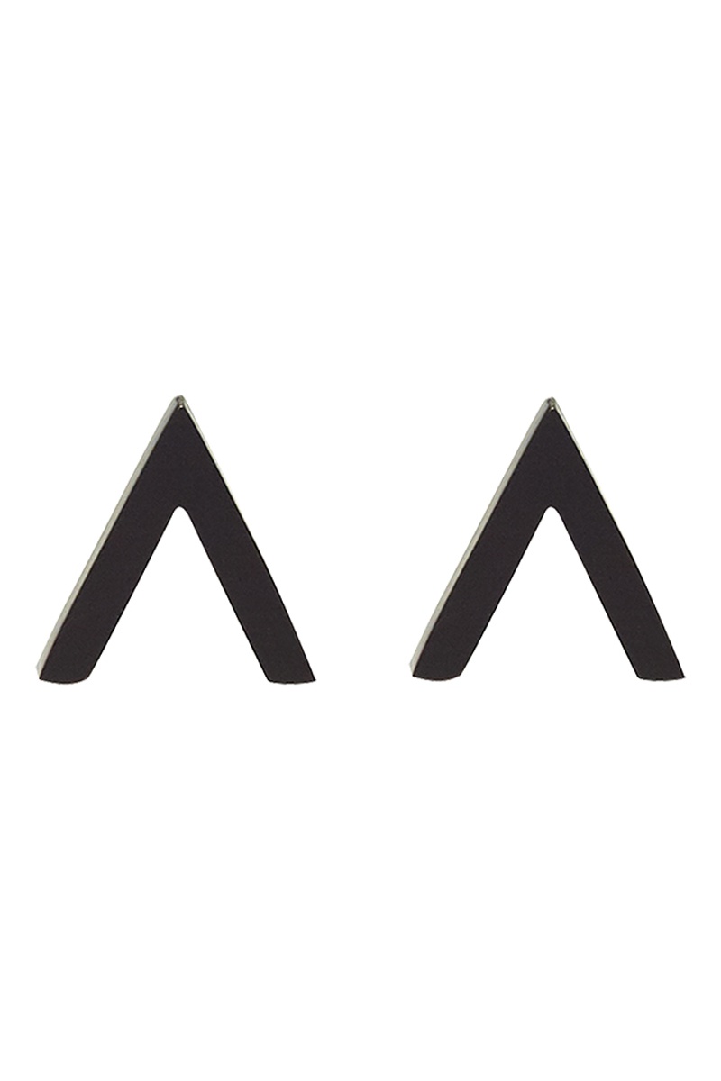 Puces Noir - Charlotte Raphaeilli