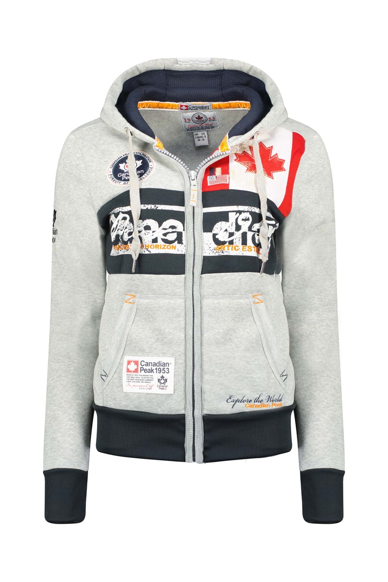 Sweat à capuche Face Gris