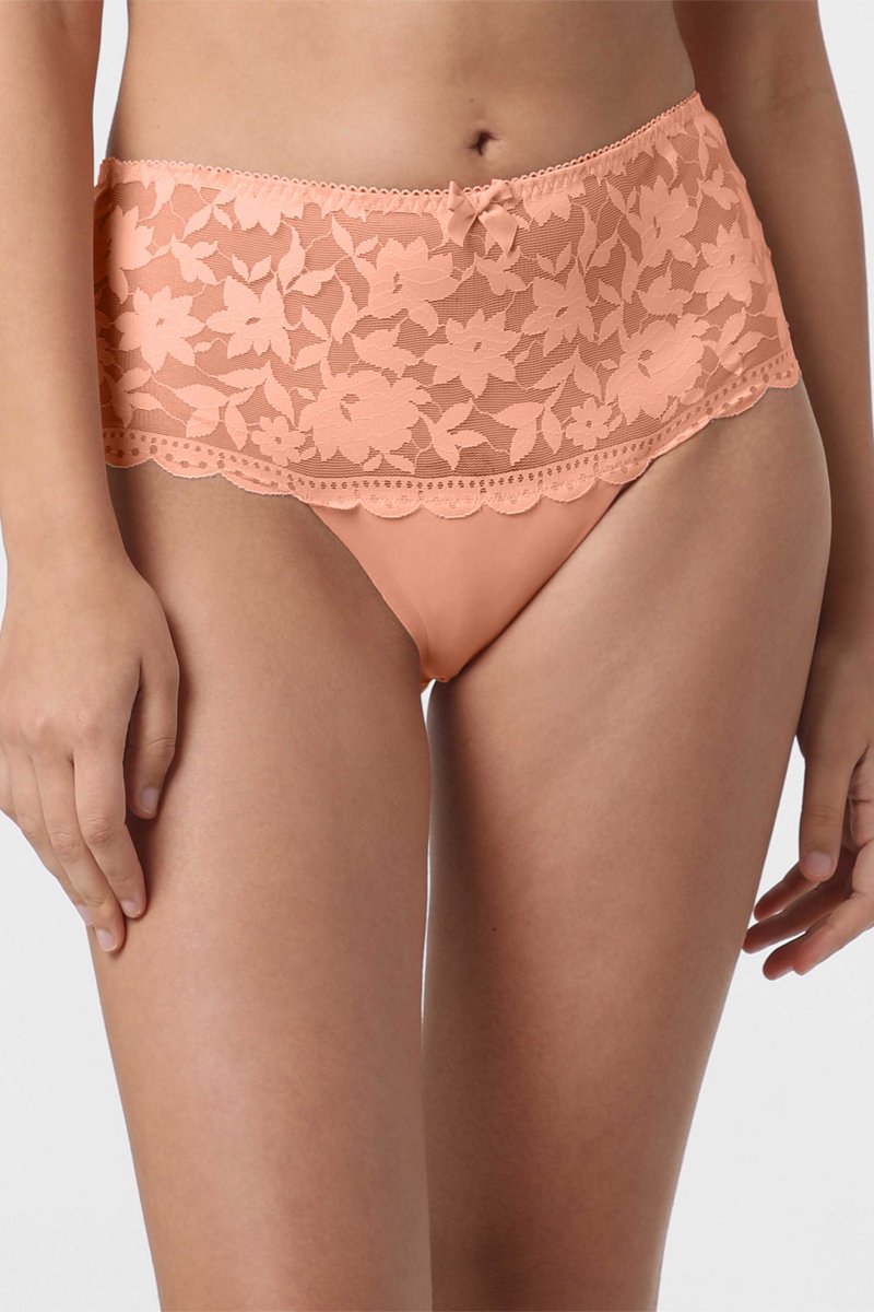 Shorty - Rose - Darjeeling